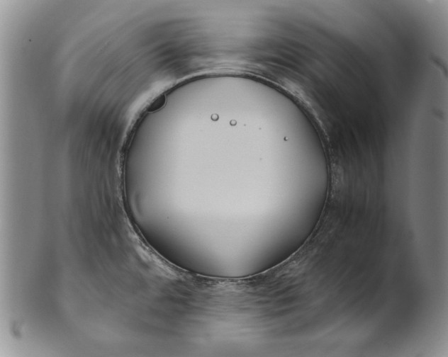 X0000100761480200807101715