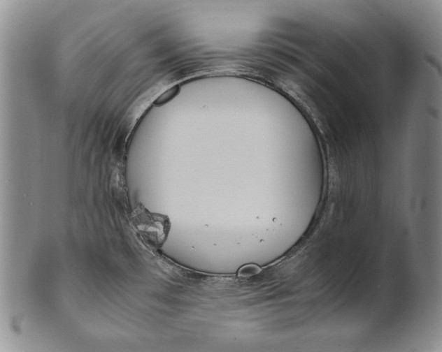 X0000100761481200807101715