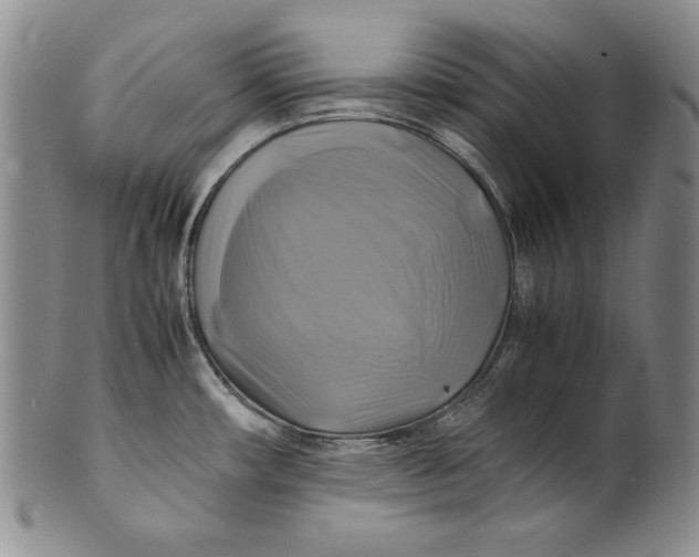 X0000100761482200807101715