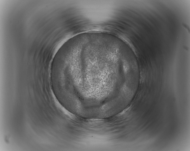 X0000100761483200807101715