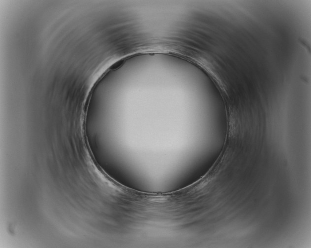 X0000100761484200807101715