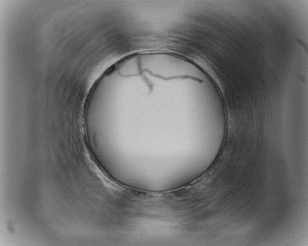 X0000100761485200807101715