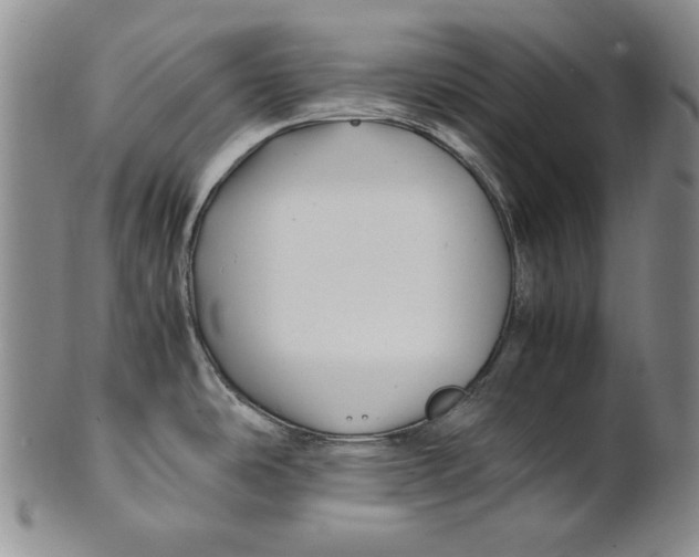 X0000100761486200807101715