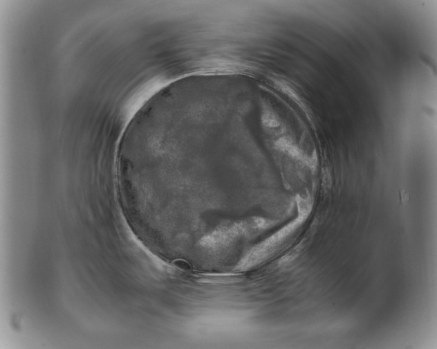 X0000100761487200807101715