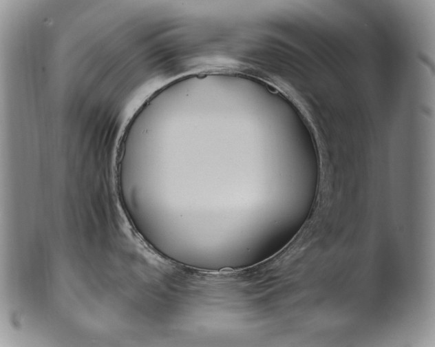 X0000100761488200807101715