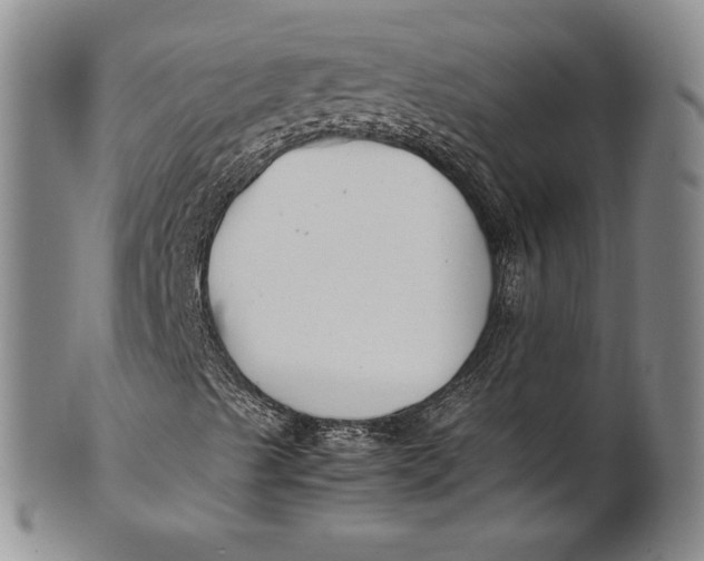 X0000100761489200807101715