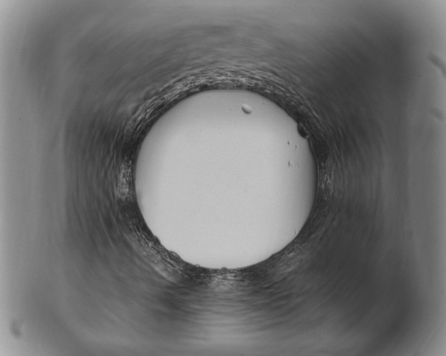 X0000100761490200807101715