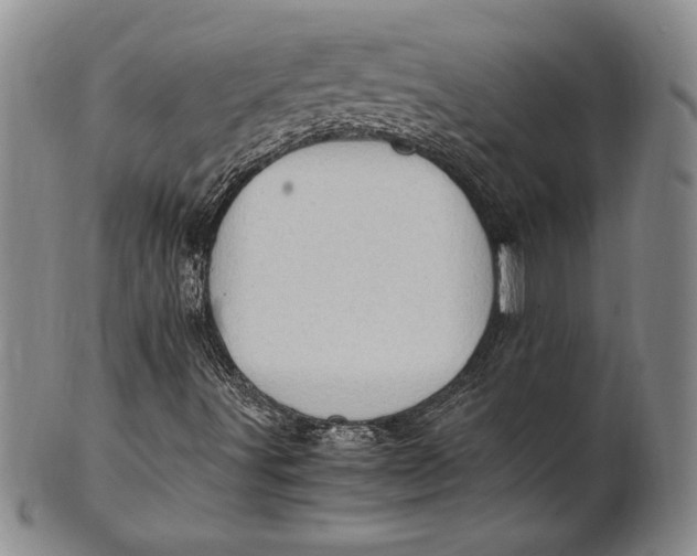 X0000100761491200807101715