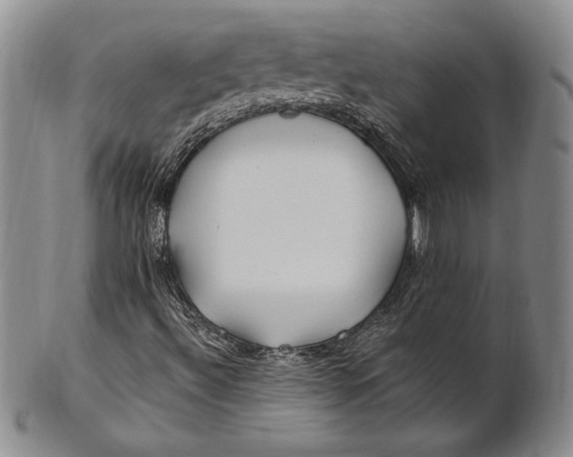 X0000100761492200807101715