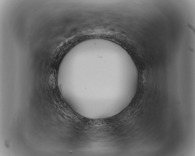 X0000100761493200807101715