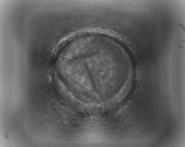 X0000100761494200807101715