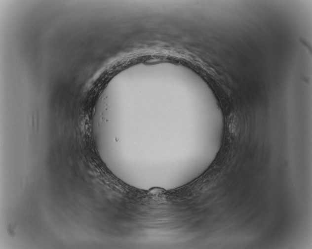 X0000100761495200807101715