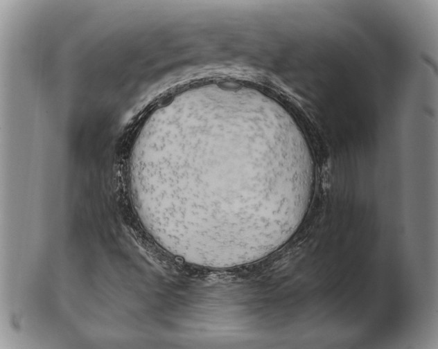 X0000100761496200807101715