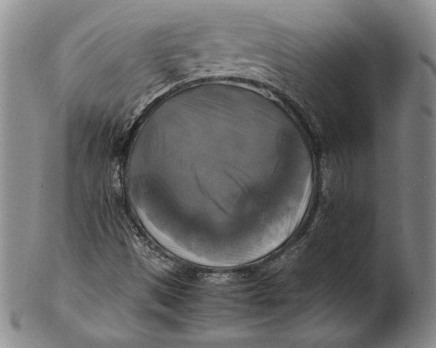 X0000100761497200807101715