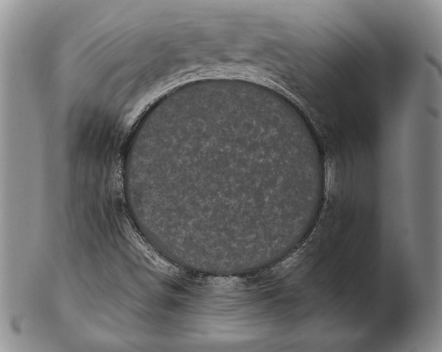 X0000100761498200807101715