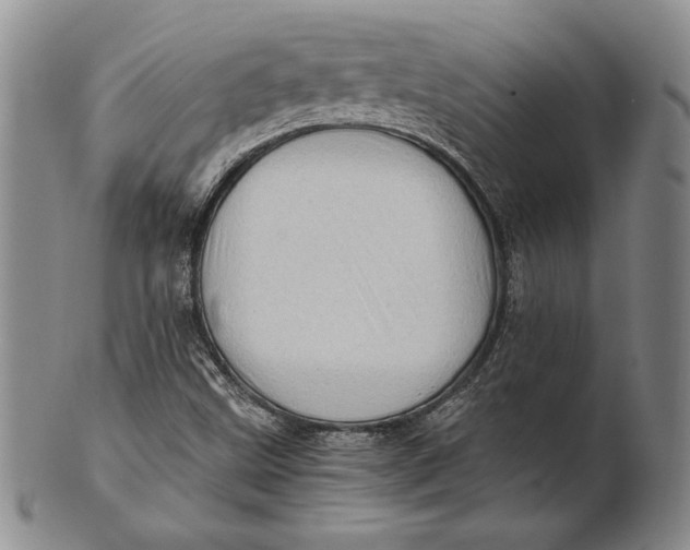 X0000100761499200807101715