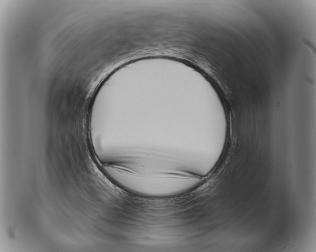 X0000100761500200807101715