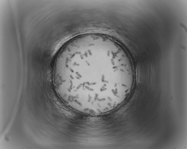 X0000100761501200807101715