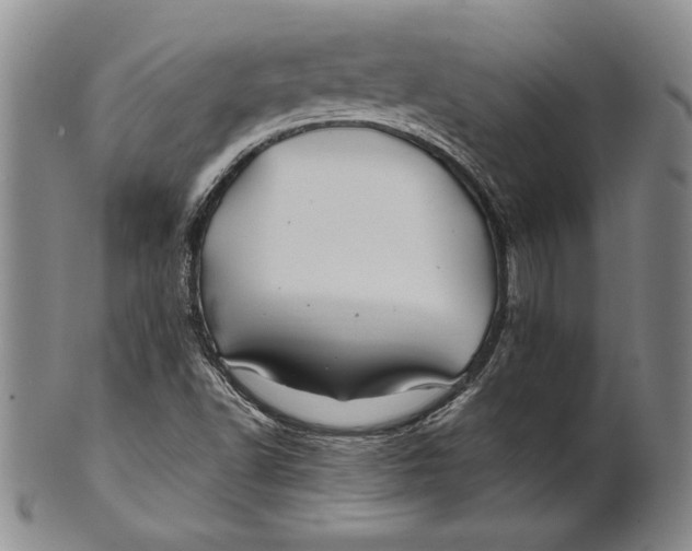 X0000100761502200807101715