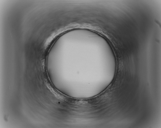 X0000100761503200807101715