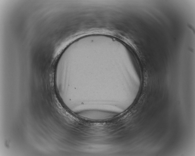 X0000100761504200807101715