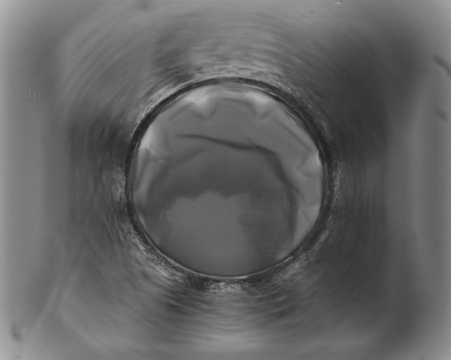 X0000100761505200807101715