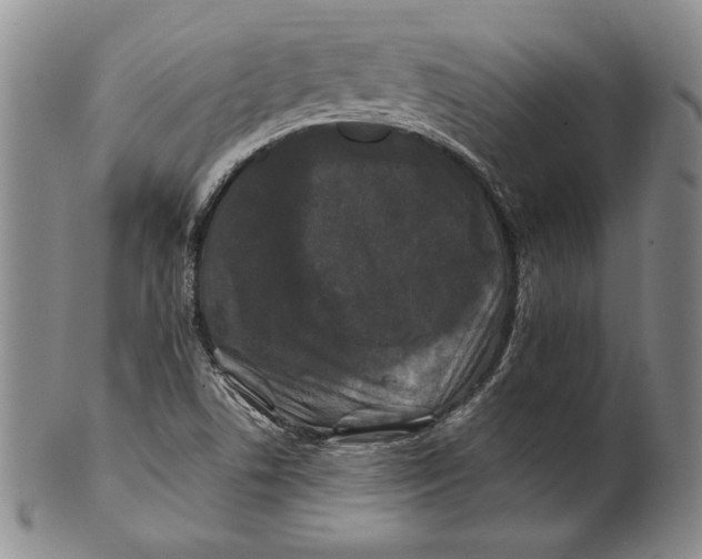 X0000100761506200807101715