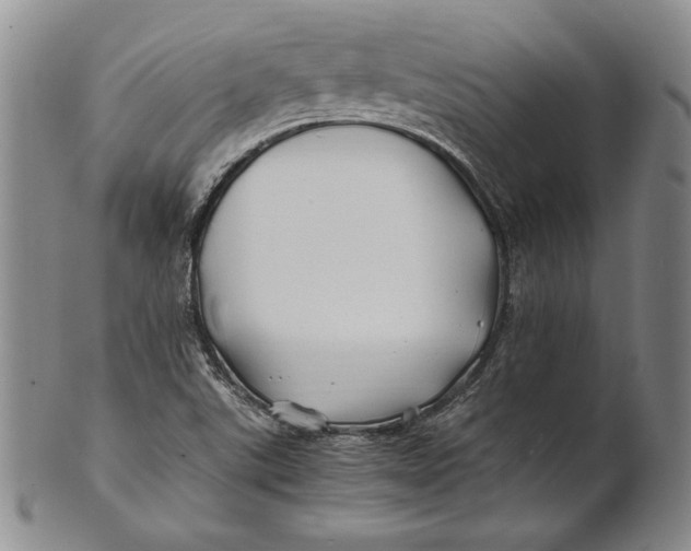 X0000100761507200807101715