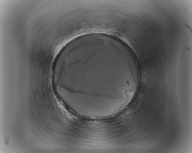 X0000100761508200807101715