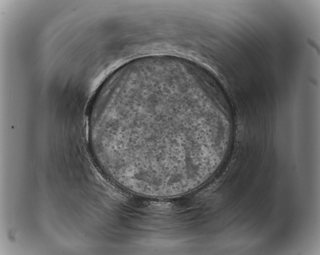 X0000100761509200807101715