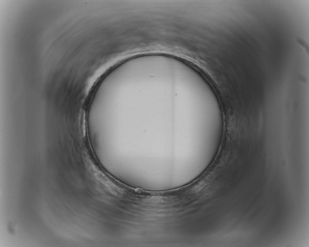 X0000100761510200807101715