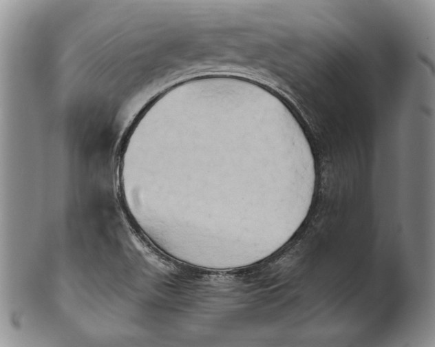 X0000100761511200807101715