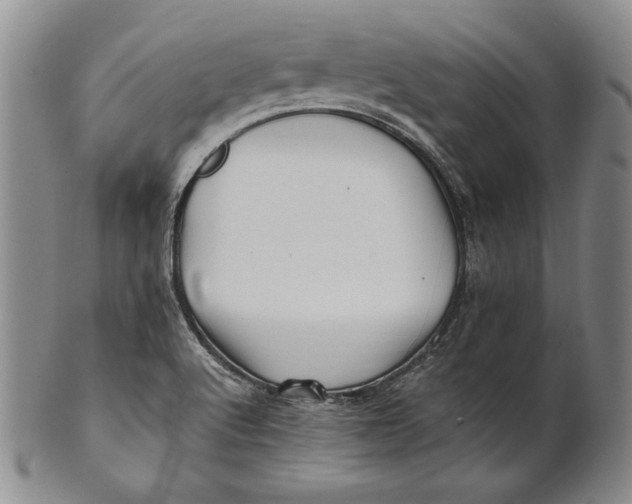 X0000100761512200807101715