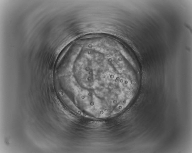 X0000100761513200807101715