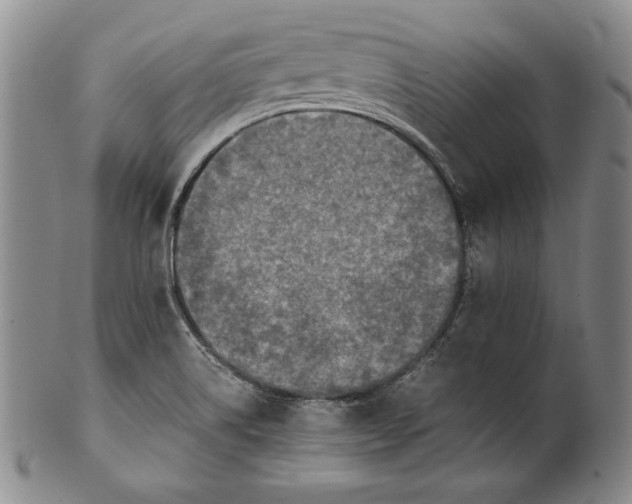 X0000100761514200807101715