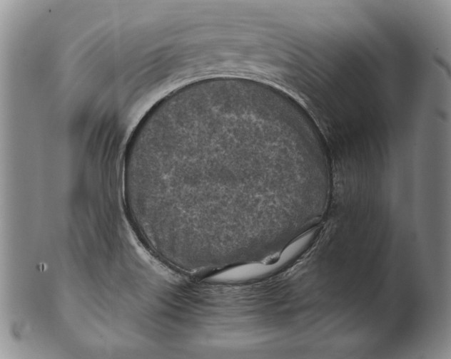 X0000100761515200807101715