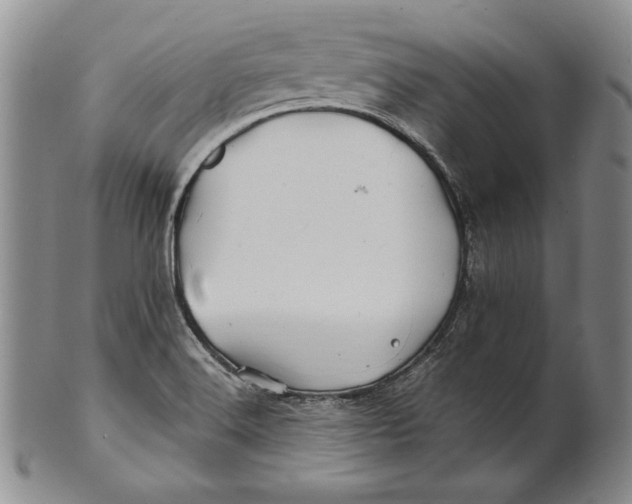 X0000100761516200807101715