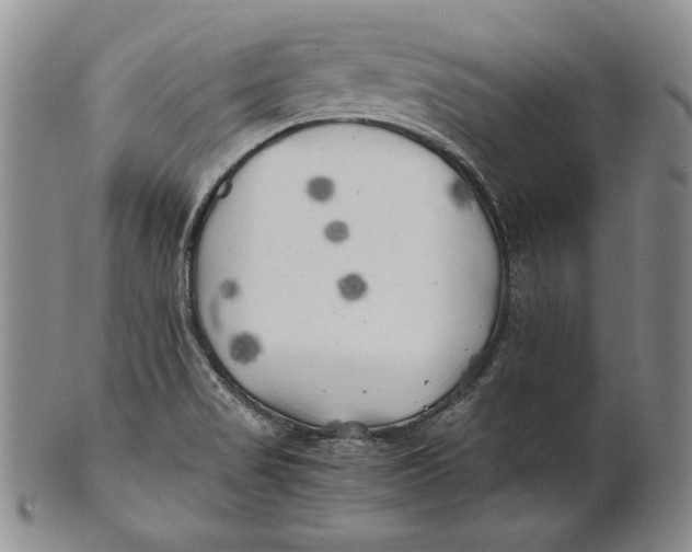 X0000100761517200807101715