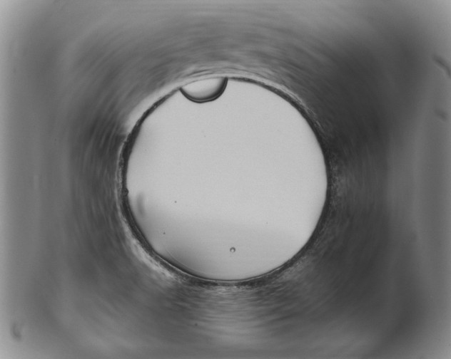 X0000100761518200807101715