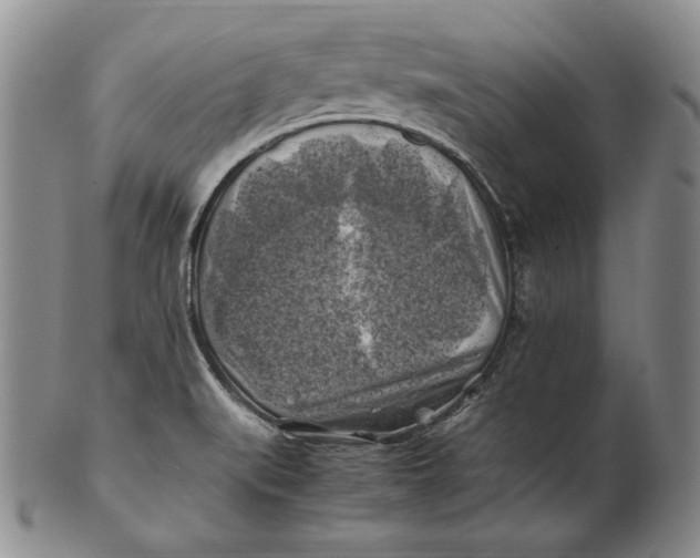 X0000100761519200807101715