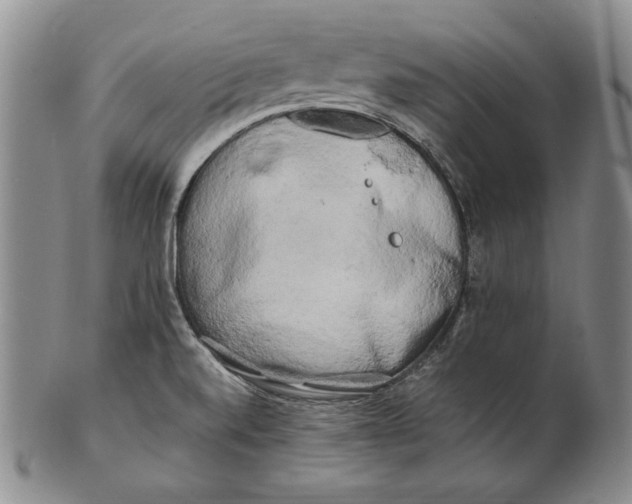 X0000100761520200807101715