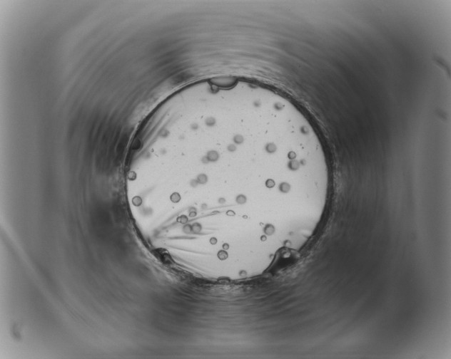 X0000100761521200807101715