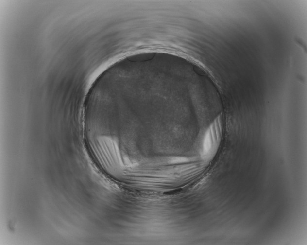 X0000100761522200807101715