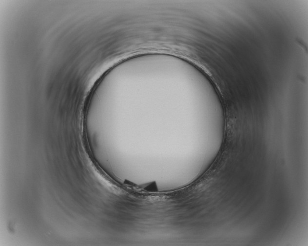 X0000100761523200807101715