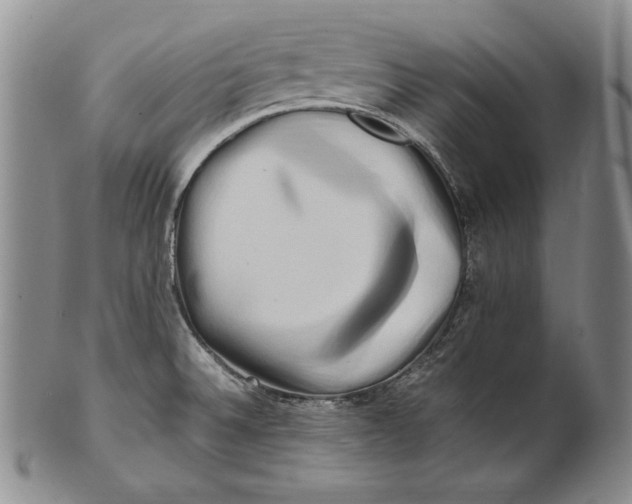 X0000100761524200807101715