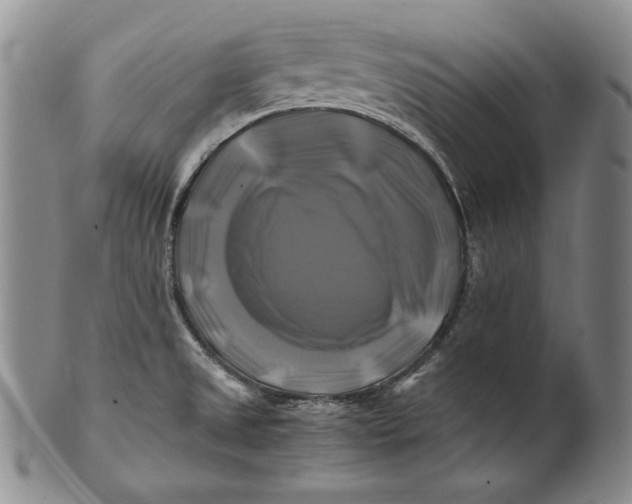 X0000100761525200807101715