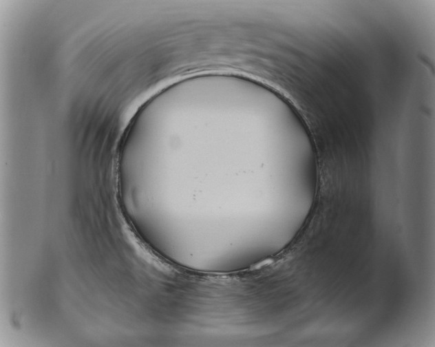 X0000100761526200807101715