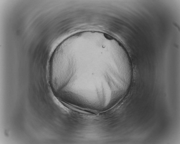 X0000100761528200807101715