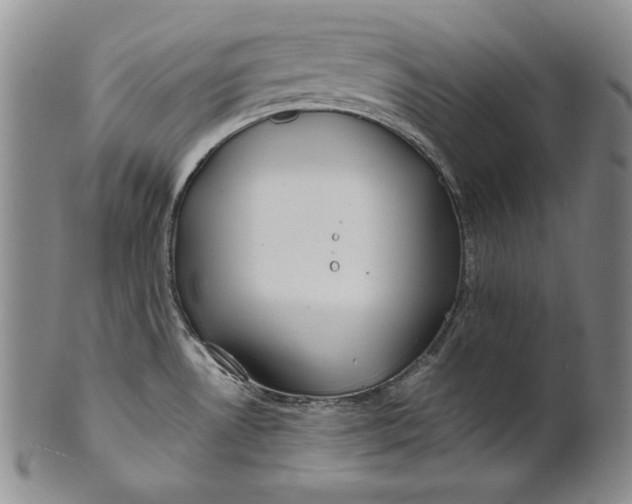 X0000100761530200807101715