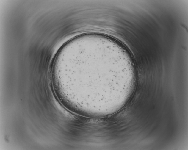 X0000100761531200807101715